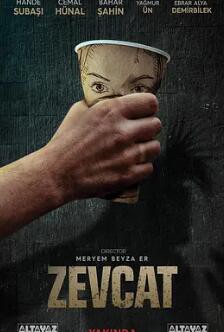 泽夫卡特封面图