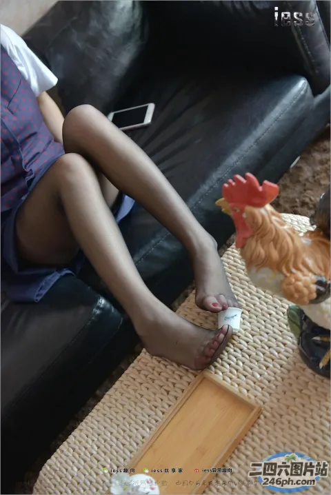 阿拉菲坐在沙发上，拿着手机和一只鸡