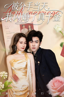 被分手当天，我闪婚了真千金封面图
