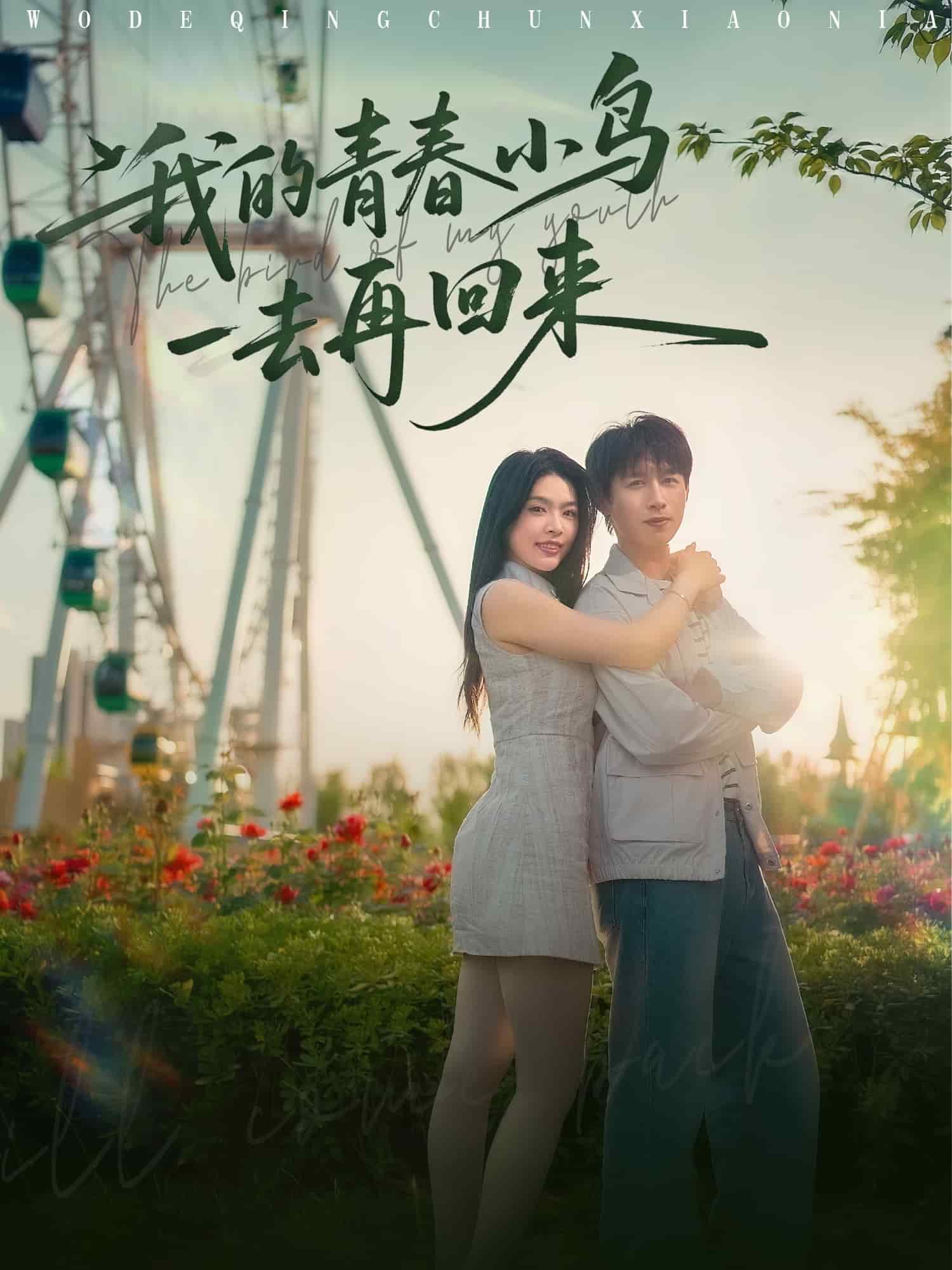 我的青春小鸟一去再回来封面图