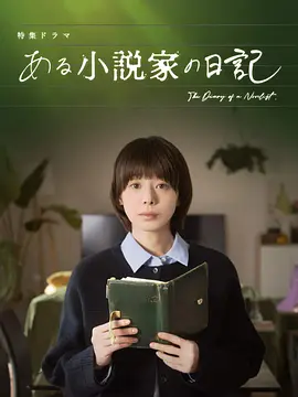 某小说家的日记封面图