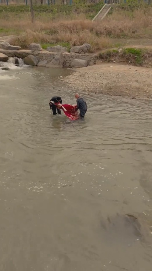 我在80年代撩首富封面图