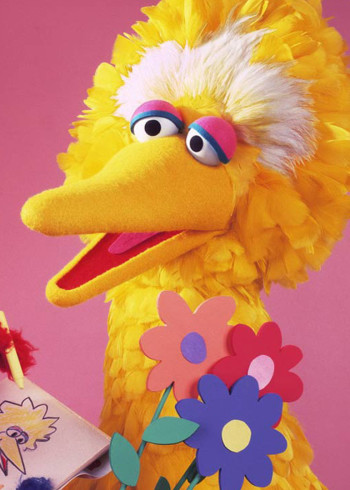 芝麻街国际版第43季封面图