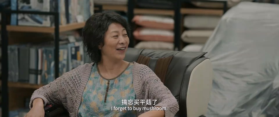 走走停停剧照