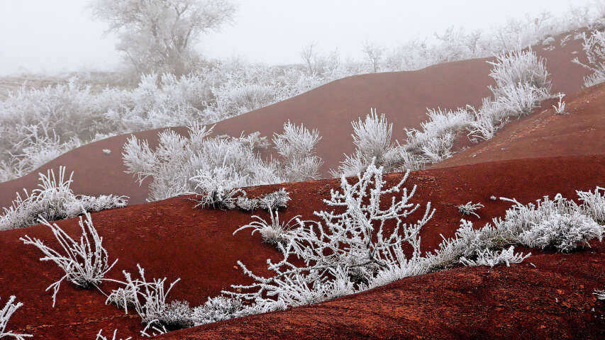 地面上结霜的红色岩石的雪景