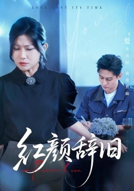 红颜辞旧封面图