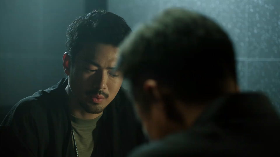 2026国剧《重案解密 国语》12集全.HD1080P.国语中字截图