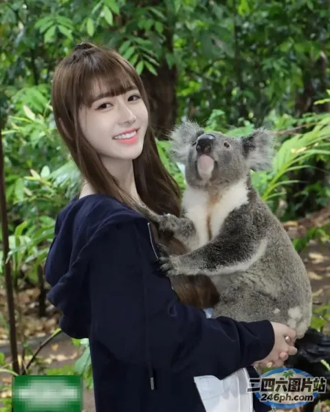 森林里抱着考拉的女人
