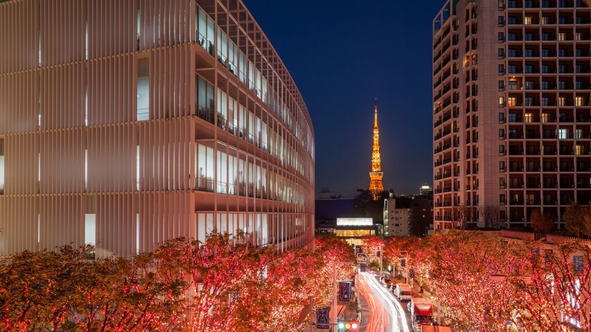 红叶树在建筑物前的街道上排成一排