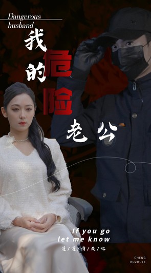 我的危险老公封面图