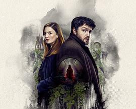 斯特莱克探案集：墨黑之心第六季封面图