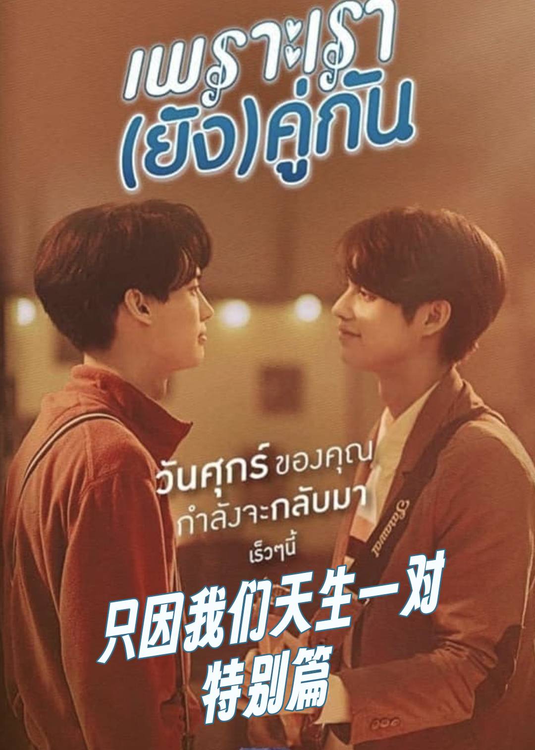 只因我们天生一对特别篇封面图