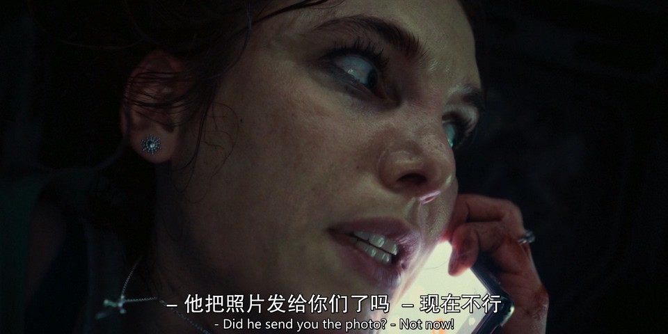 2023德国惊悚《后备箱惊魂》HD1080P.德语中字截图