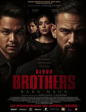 血亲兄弟封面图