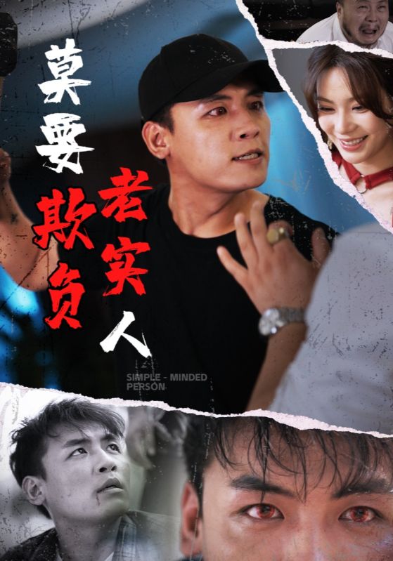 莫要欺负老实人封面图