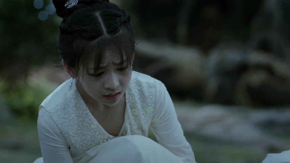 2024国剧《幻乐森林》24集全.HD1080P.国语中字截图