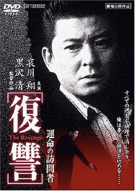 复仇：命运的访问者封面图