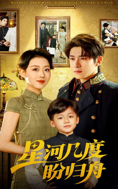 星河几度盼归舟封面图