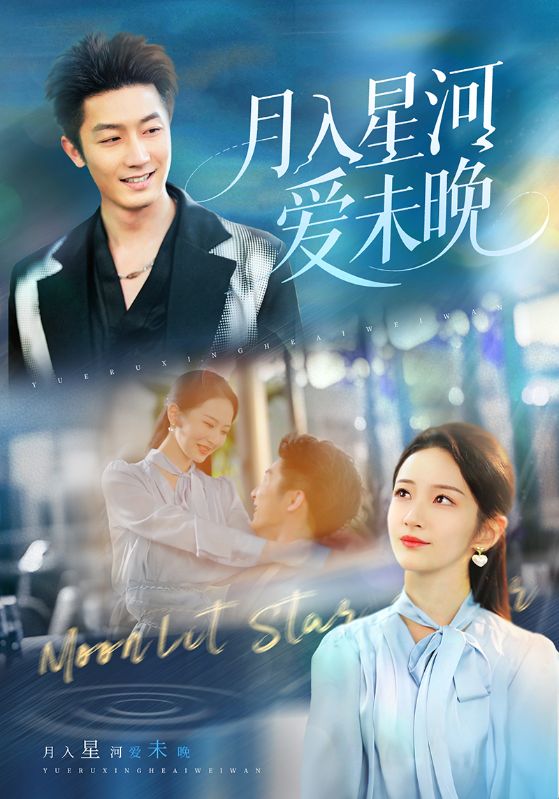 月入星河爱未晚封面图