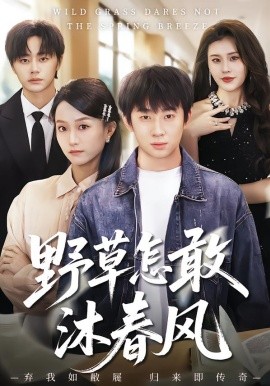 野草怎敢沐春风封面图