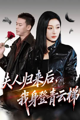 夫人归来后，我身登青云梯封面图
