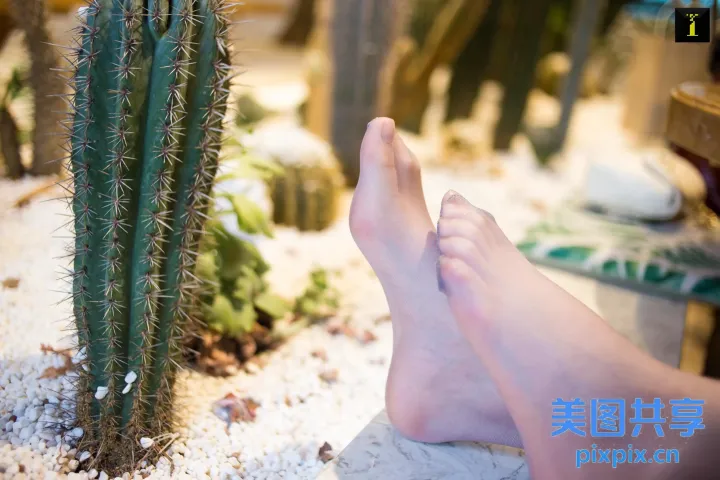 仙人掌旁边的岩石上有一个人的脚