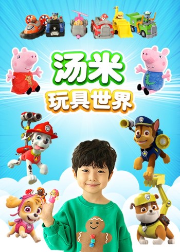 汤米玩具世界封面图