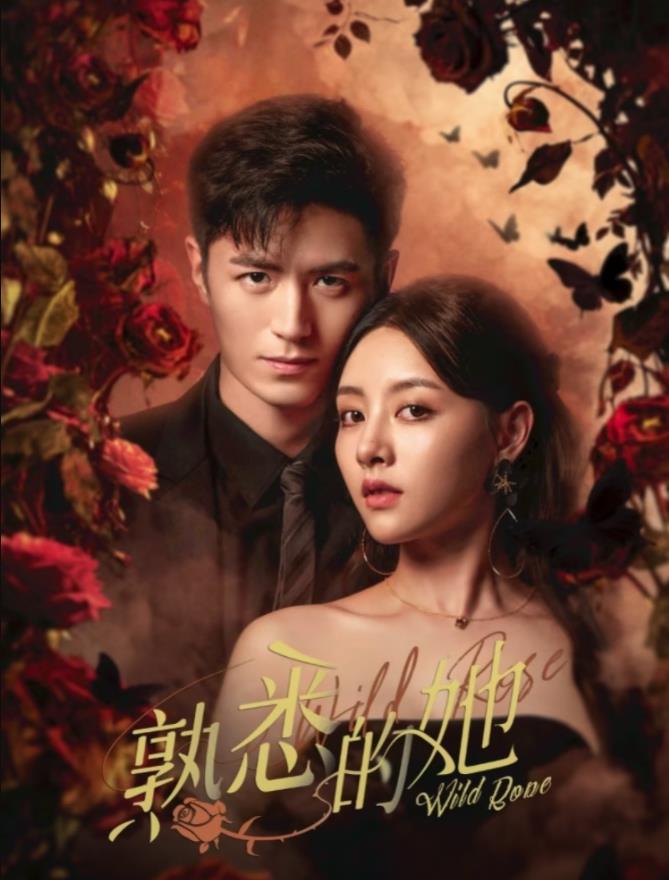 熟悉的她封面图