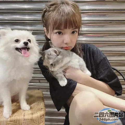 椅子上坐着一个女人抱着一只猫和一只狗