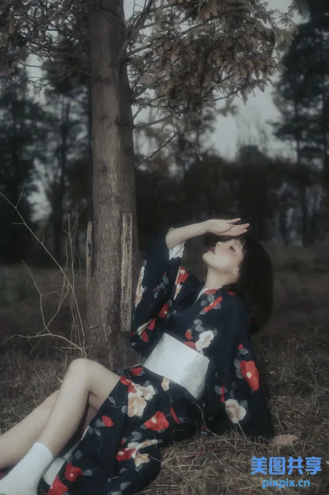 穿着和服坐在树下的 arafed 女人