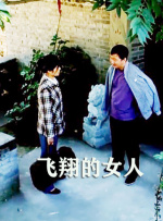 飞翔的女人封面图