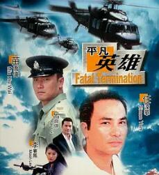 平凡英雄1990封面图