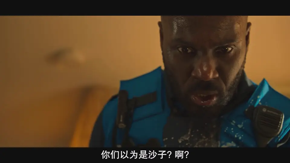 2025悬疑喜剧《凹凸双雄》HD1080P.荷兰语中字截图