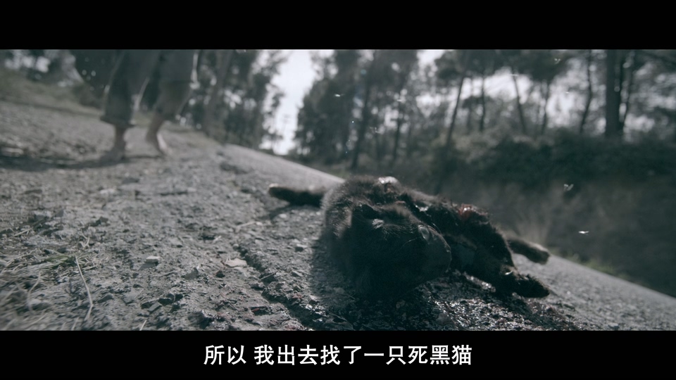地狱男爵：歪曲人剧照