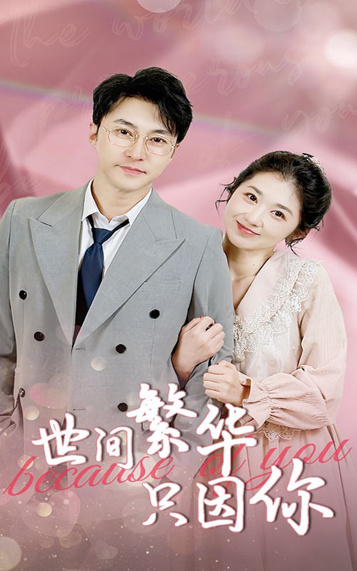 世间繁华只因你封面图