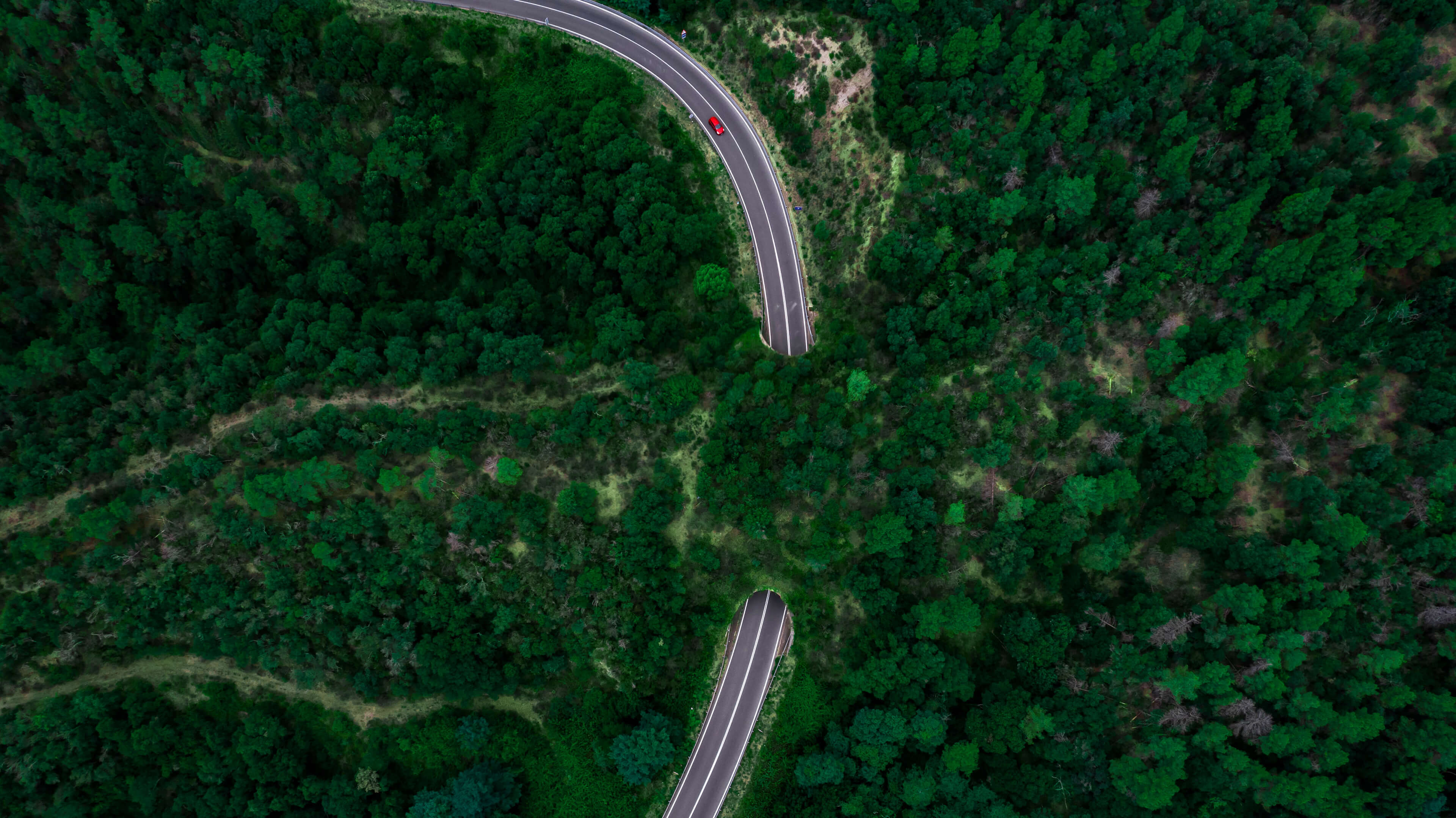 森林中蜿蜒道路的鸟瞰图