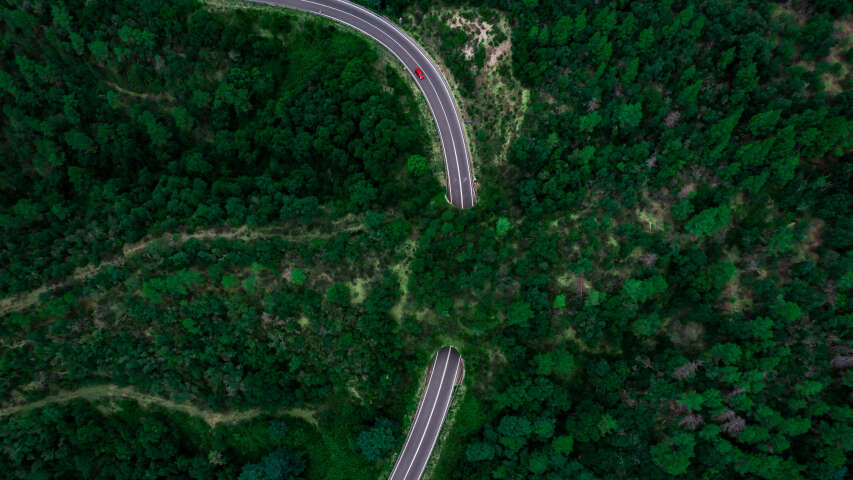 森林中蜿蜒道路的鸟瞰图