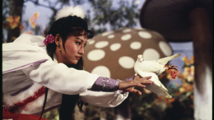 六指琴魔封面图