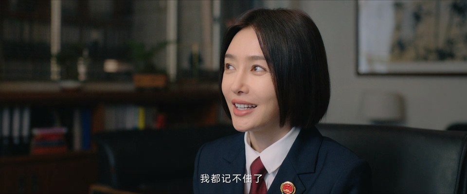 2024国剧《九部的检察官》18集全.HD1080P.国语中字截图
