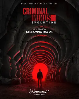 犯罪心理：演变第十九季 Criminal Minds： Evolution Season 19封面图