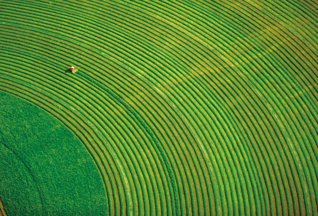 走进蒙牛参访学习