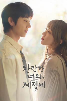 在你灿烂的季节