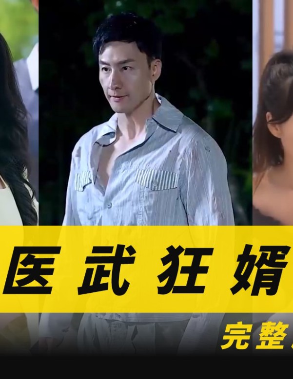 医武狂婿封面图