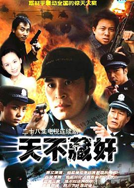 天不藏奸封面图