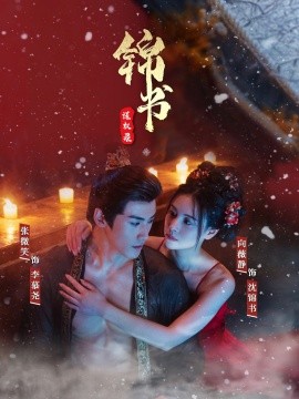 锦书谋权录封面图