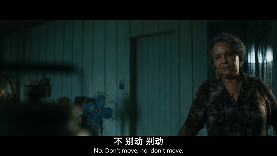 2024巴西剧情《企鹅与渔夫》HD1080P.英语中英双字截图