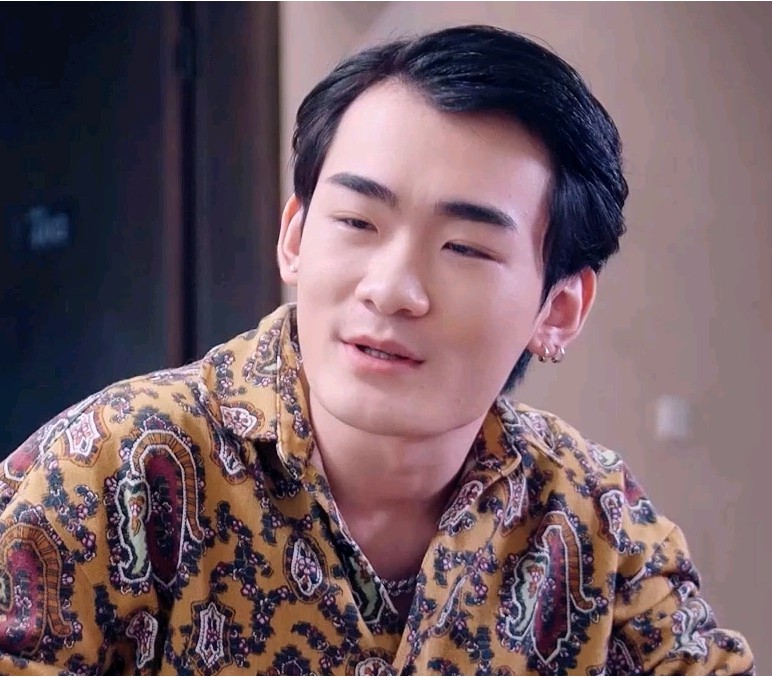 上门傻婿封面图