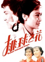 排球之花封面图