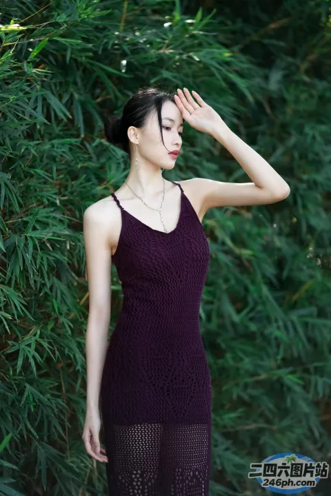 站在灌木丛前的紫色连衣裙的 araffe 女人