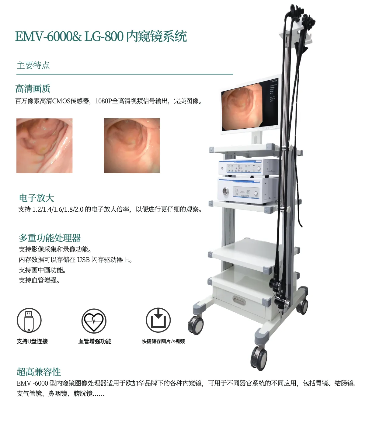 LG-800医用内窥镜冷光源(图1)